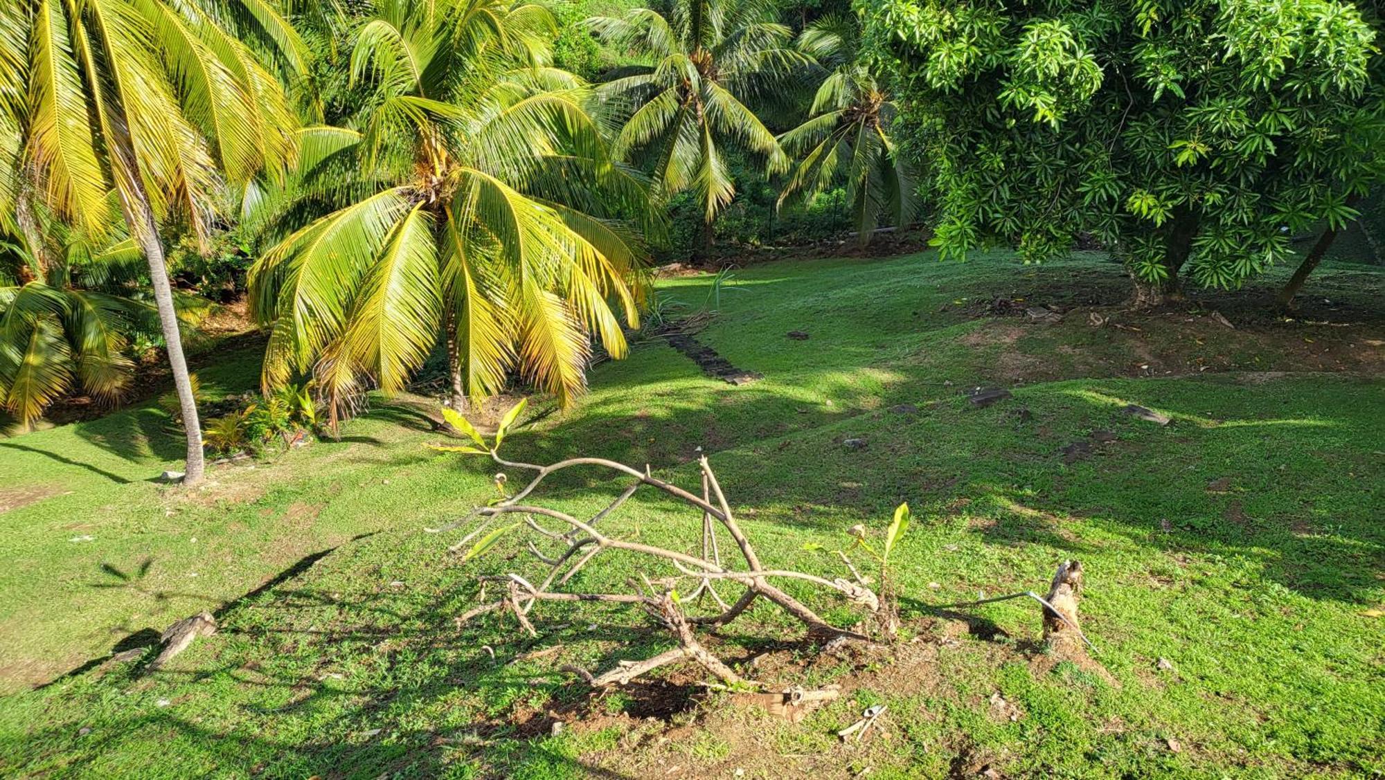 Villa Le Caillou à Trinité  Extérieur photo